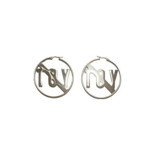 Pair of Stainless Steel Hoop Earrings in Silver tone
